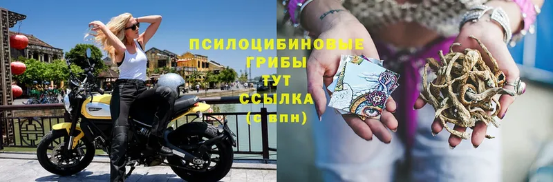 Галлюциногенные грибы мухоморы  Егорьевск 